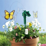 fluture-solar-zburator