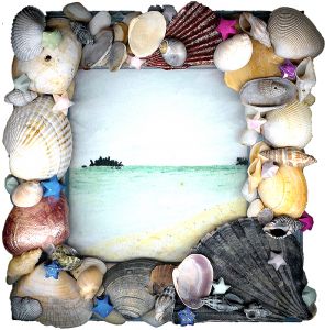 rama foto scoici rama foto scoici