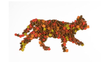 Ce trebuie sa stii inainte de a-ti lua o pisica