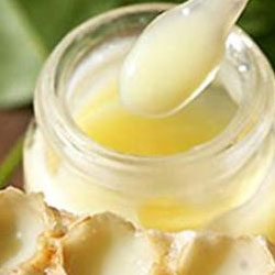 Stimulente naturale impotriva oboselii