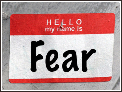 fear-stratejoy.com