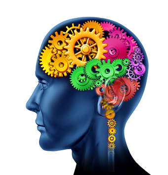 inteligenta antreprenoriala sites google com