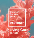 Sursa: pantone.com