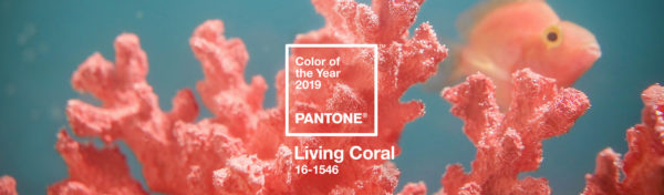 Sursa: pantone.com