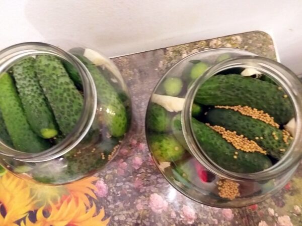 Castraveti murati in saramura