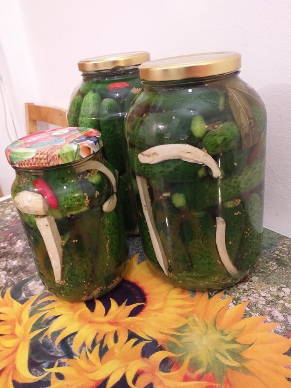 Castraveti murati in saramura